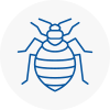 Bed Bug Extermination In Wakefield