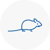 Mice Exterminators In Wakefield