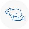 Rat Control Wakefield