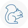 Wakefield Rodent Removals