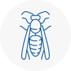 Wakefield Wasp Nest Removal